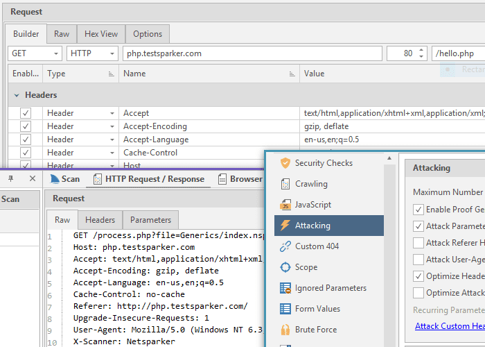 Netsparker Standard Web-Security-Multi-Tools