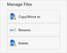 management files