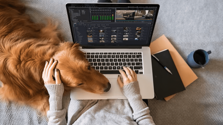 Avid Media Composer NEXIS EDGE Avid Media Composer NEXIS EDGE
