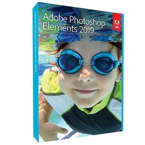 PS_2019