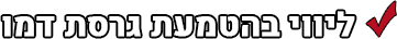 ליווי בהטמעת גרסת דמו