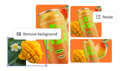 make-standard-content
