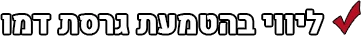ליווי בהטמעת גרסת דמו