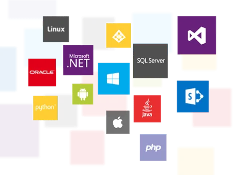 MS Dev